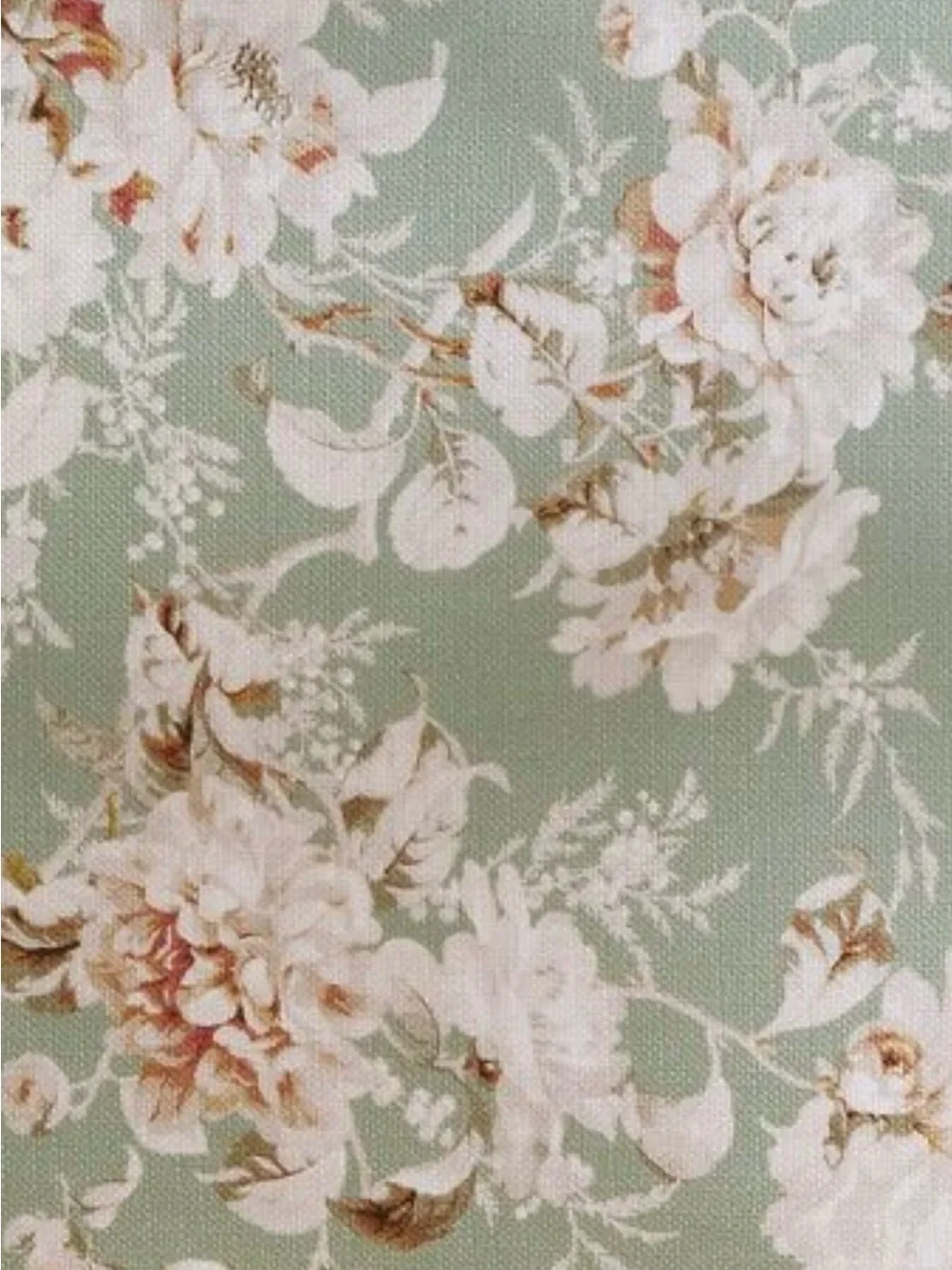 Anthropologie Frida Cotton Printed Floral Curtain, 1 Panel